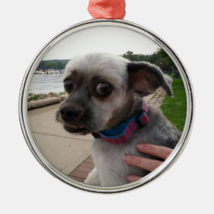 Add your Dog's Photo to this Ornament