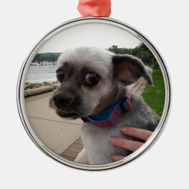 Add your Dog's Photo to this Ornament (Front)