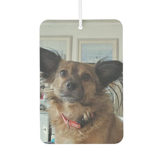 Add Your Favourite Dog Photos to these  Car Air Freshener (Front)
