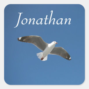 Add Your Name Blue Sky Seagull Photo Square Sticker