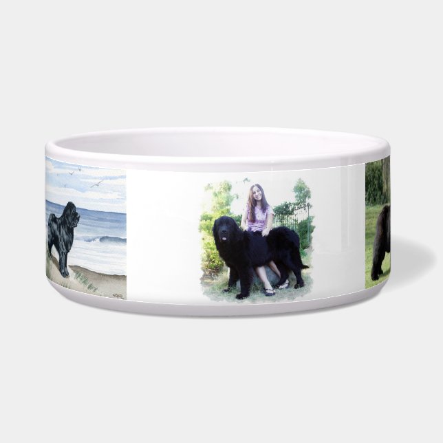 Add Your Own 6 Images Here Pet Bowl (Left)