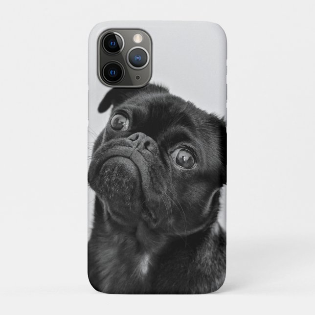 Add Your Own Dog Photo Travel | funny pug  Case-Mate iPhone Case (Back)