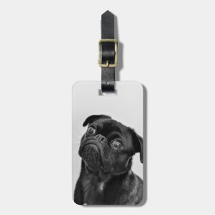 Add Your Own Dog Photo Travel   funny pug Luggage Tag