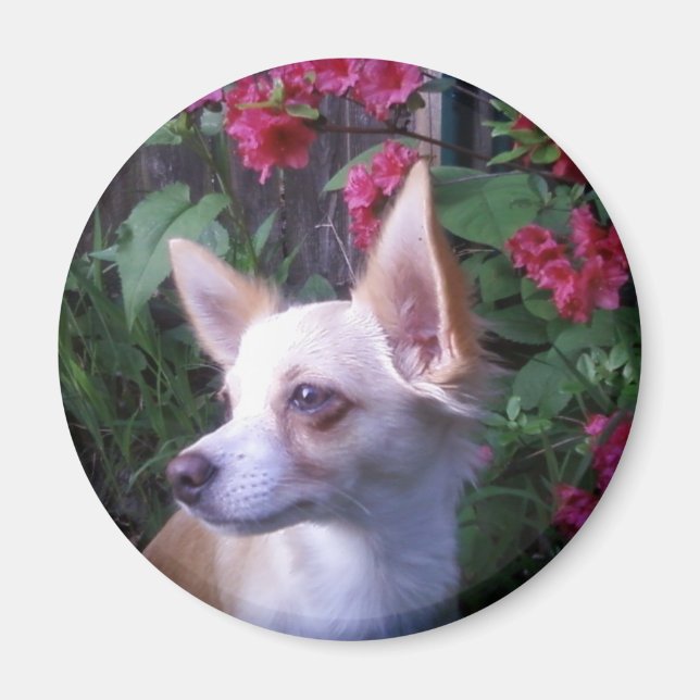 "Add Your Own Photo"    Magnet (Front)