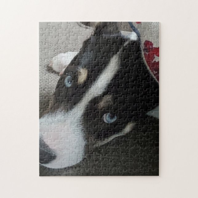 Add your Own Photo or Leave this Husky Pitbull Pup Jigsaw Puzzle (Vertical)
