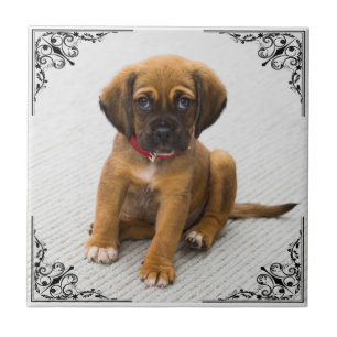 ADD YOUR OWN PHOTO TILE