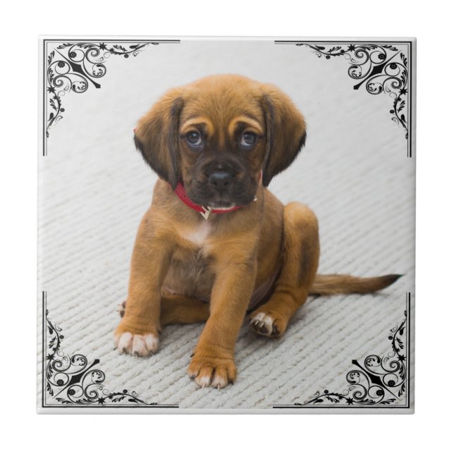 ADD YOUR OWN PHOTO TILE (Front)