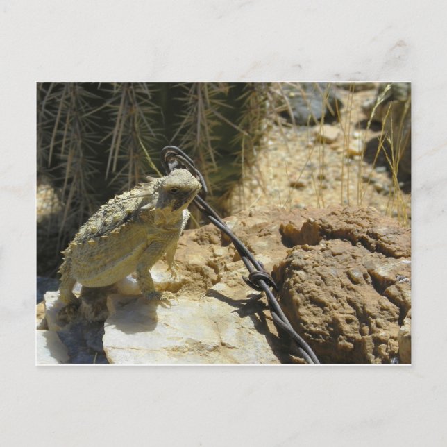 ADD YOUR OWN TEXT to Godzilla's Posed Position Postcard (Front)