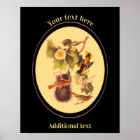 Add Your Own Text Vintage Audubon Birds Oriole
