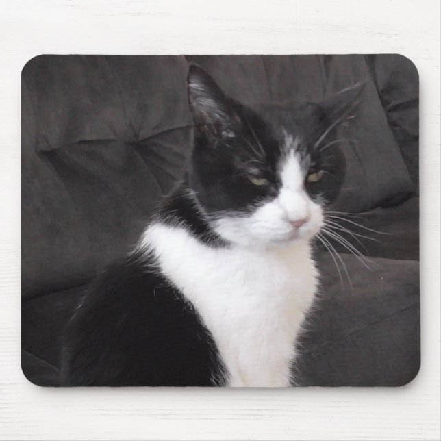 Add your pet's photo to this cute mouse pad (Front)
