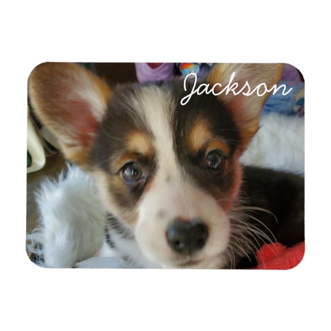 Add your Pet's Photo to this Magnet (Horizontal)