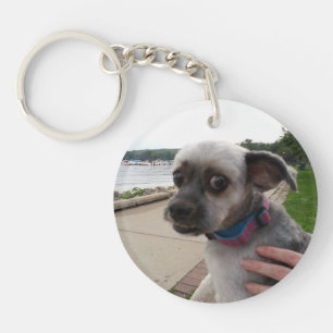 Add your Pet's picture to this Key Chain