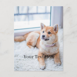 Add Your Photo and Text 2 Sided Customized Postcard