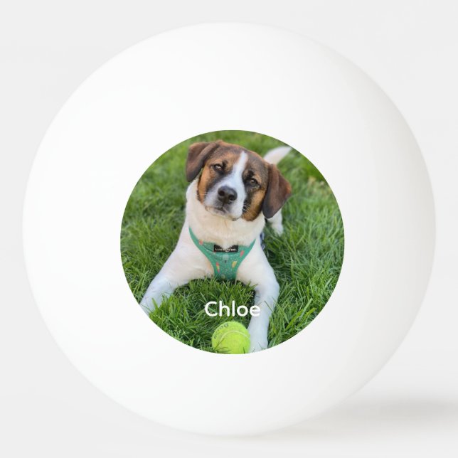 Add Your Photo Dog Photo Kids Photo Family Photo  Ping Pong Ball (Front)