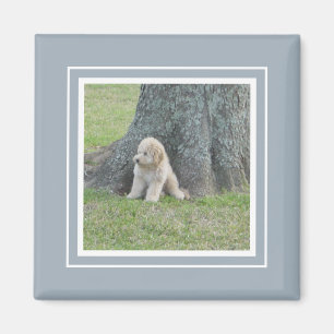 Add Your Photo to Modern Farmhouse Blue & White Magnet