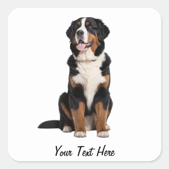 Add Your Text Custom Bernese Mountain Dog          Square Sticker (Front)