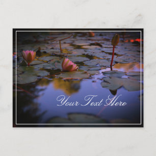Add Your Text Water Lily Beautiful Postcard