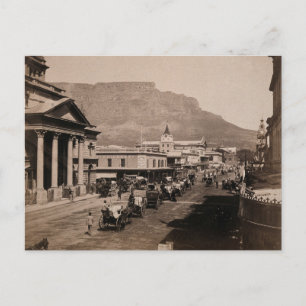 Adderley Street Cape Town Vintage Holiday Postcard