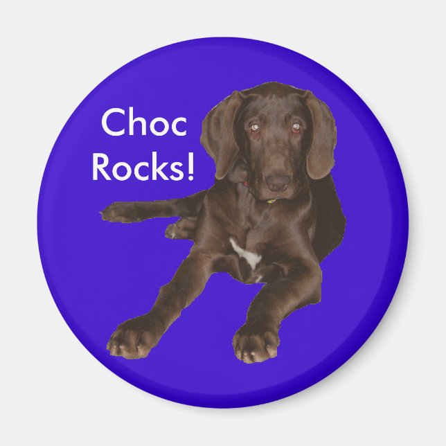 Addiction/Paws Off Magnet (Front)