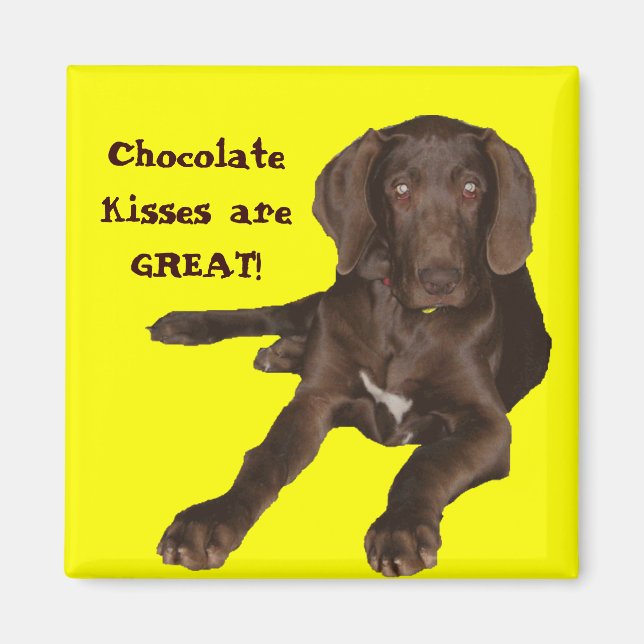 Addiction/Paws Off Magnet (Front)