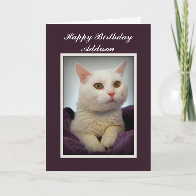 Addison Happy Birthday White Cat Card (Front)