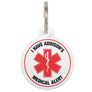 Addison's Disease Medical Alert Pet Tag