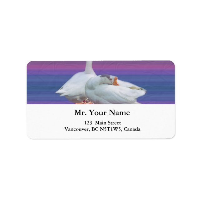 address label (Front)