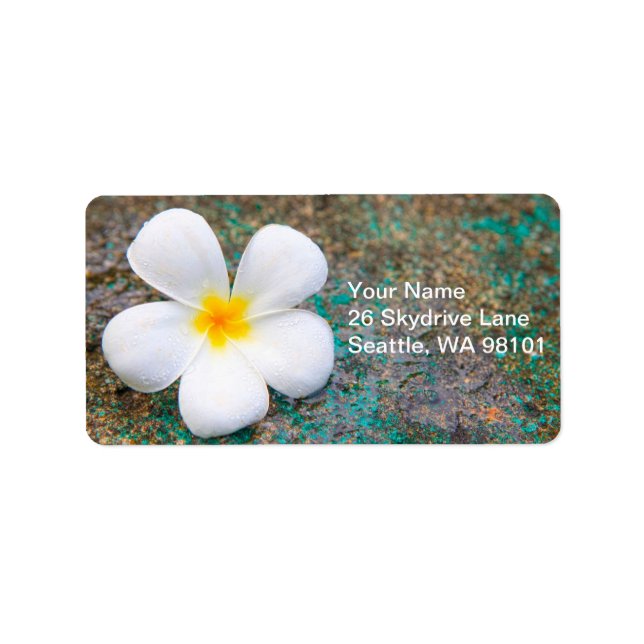 Address Label - Frangipani (Front)