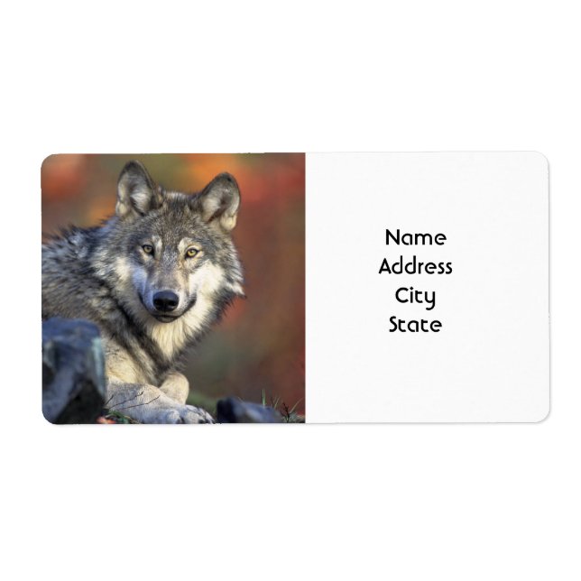 Address Labels (Front)