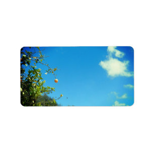 ADDRESS LABELS ART AND DESIGN