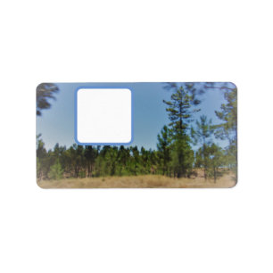 Address LabelS ART&DESIGN STYLES