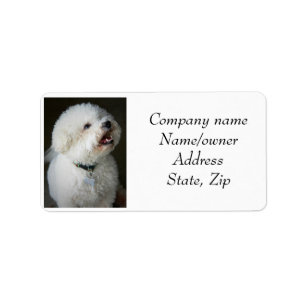 Address labels Bichon Frise