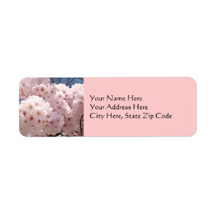 Address Labels Pink Tree Blossoms Spring