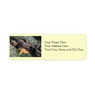 Address Labels: Starfish