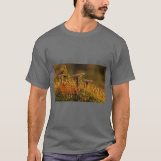 Adegein Abstract Nature Tee