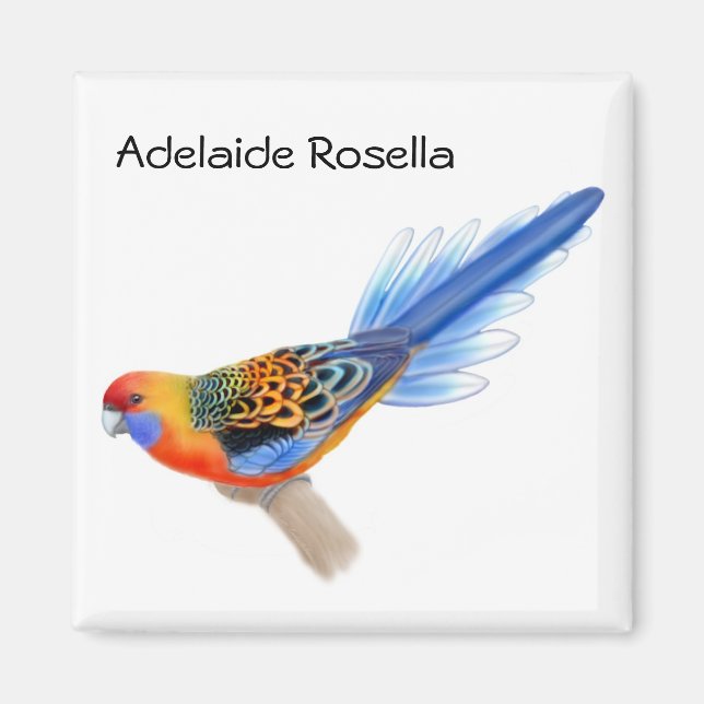 Adelaide Rosella Parrot Magnet (Front)