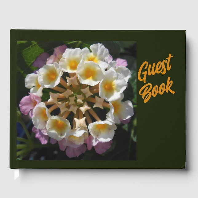 Adelaparre Guest Book (Front)