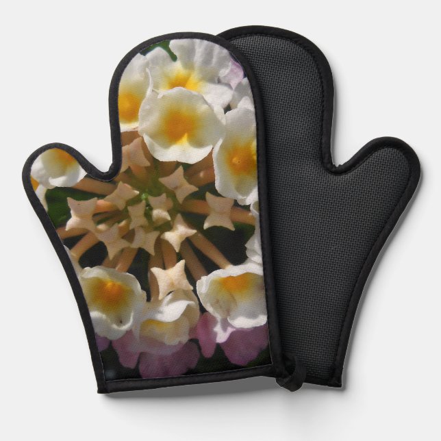 Adelaparre Oven Mitt (Front/Back)