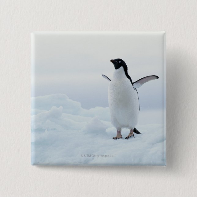 Adelie penguin, Antarctica 15 Cm Square Badge (Front)