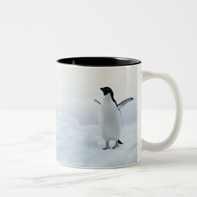 Adelie penguin, Antarctica Two-Tone Coffee Mug (Right)