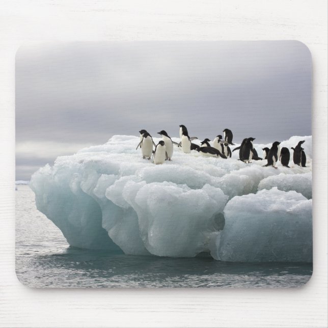 Adelie Penguin Pygoscelis adeliae), Mouse Pad (Front)