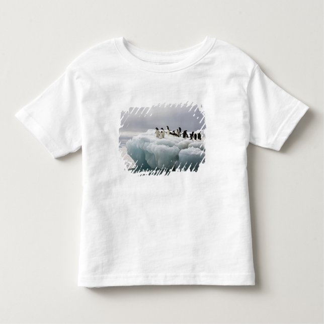 Adelie Penguin Pygoscelis adeliae), Toddler T-Shirt (Front)