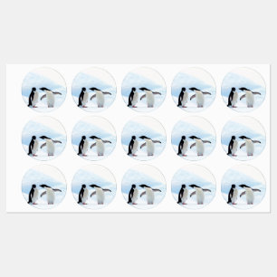 Adelie Penguins