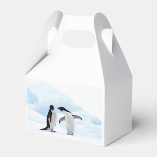 Adelie Penguins Favour Box