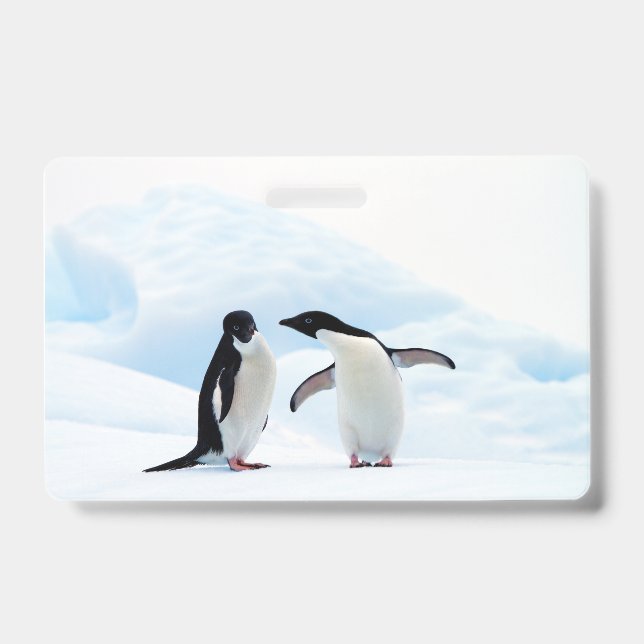 Adelie Penguins ID Badge (Front)