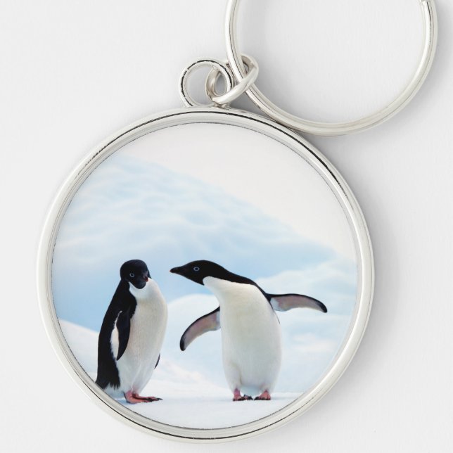 Adelie Penguins Key Ring (Front)