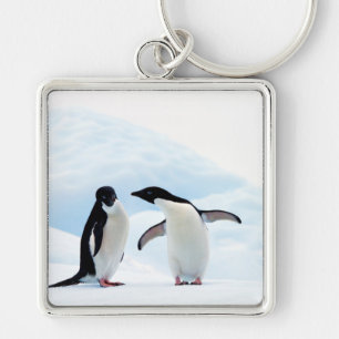 Adelie Penguins Key Ring