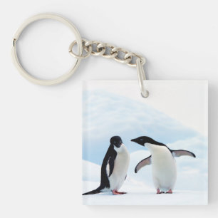 Adelie Penguins Key Ring