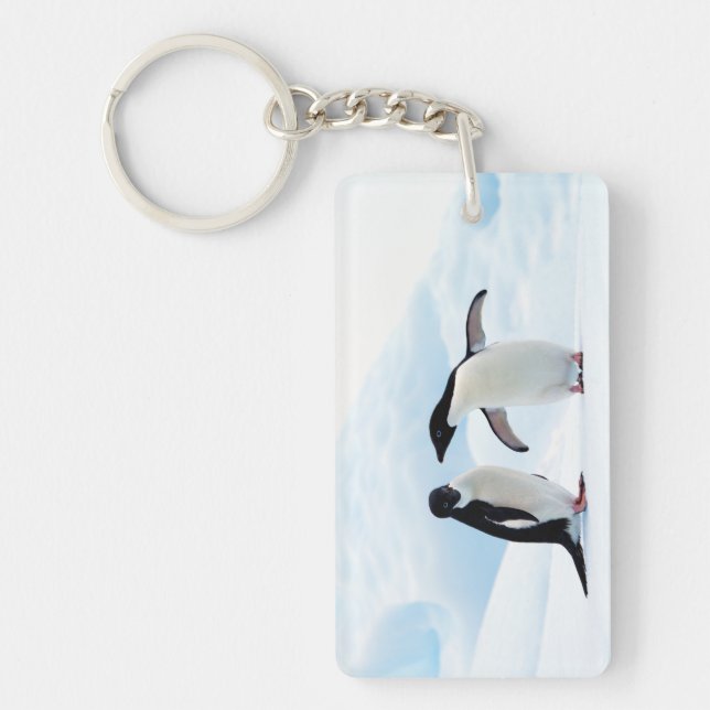 Adelie Penguins Key Ring (Front)