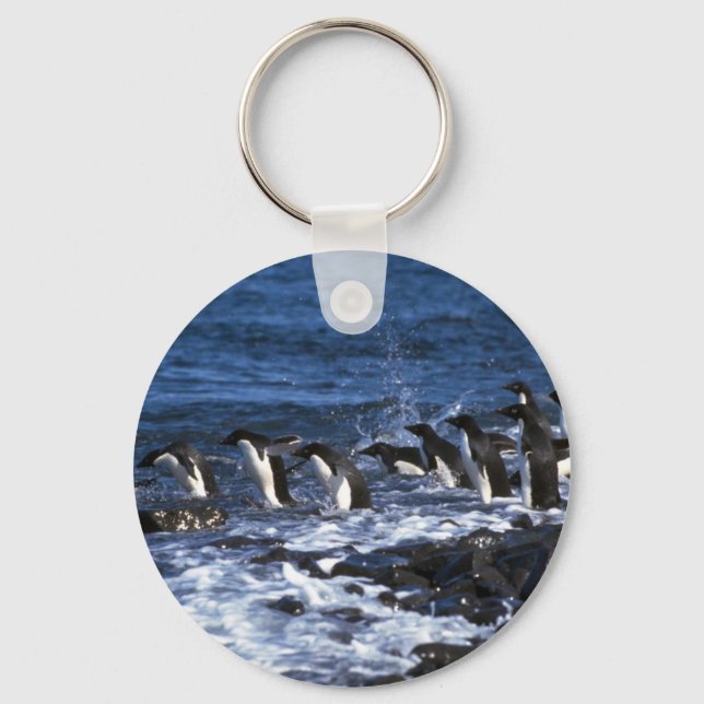 Adelie Penguins Key Ring (Front)